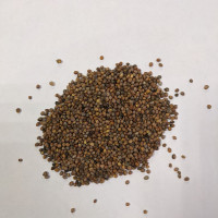 Редис зеленый широколистный 0.01 кг (10 гр)