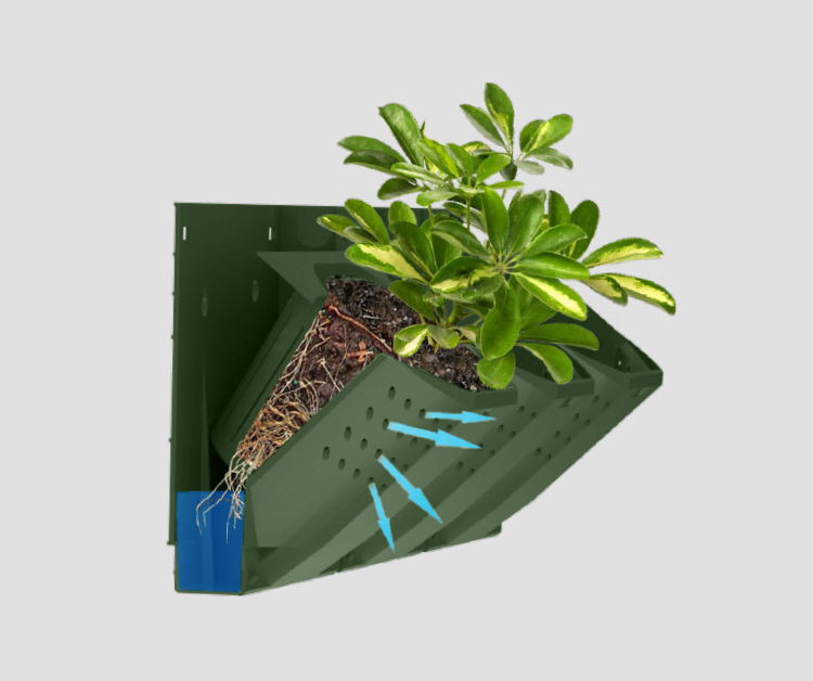Фитомодуль Green Day VZ–01