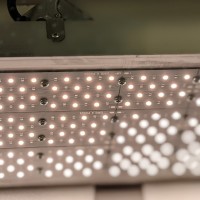LED светильник для растений ЭТАЛОНСВЕТ Philips 240CR