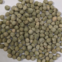 Горох зеленый Мадрас 0.5 кг (500 гр)