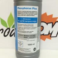 Добавка для стадии цветения Hesi Phosphorus Plus 1 л (Почва)