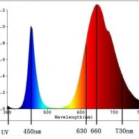 Светодиодная матрица 30 Вт (45 mil) полный спектр