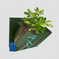 Фитомодуль Green Day VZ–01